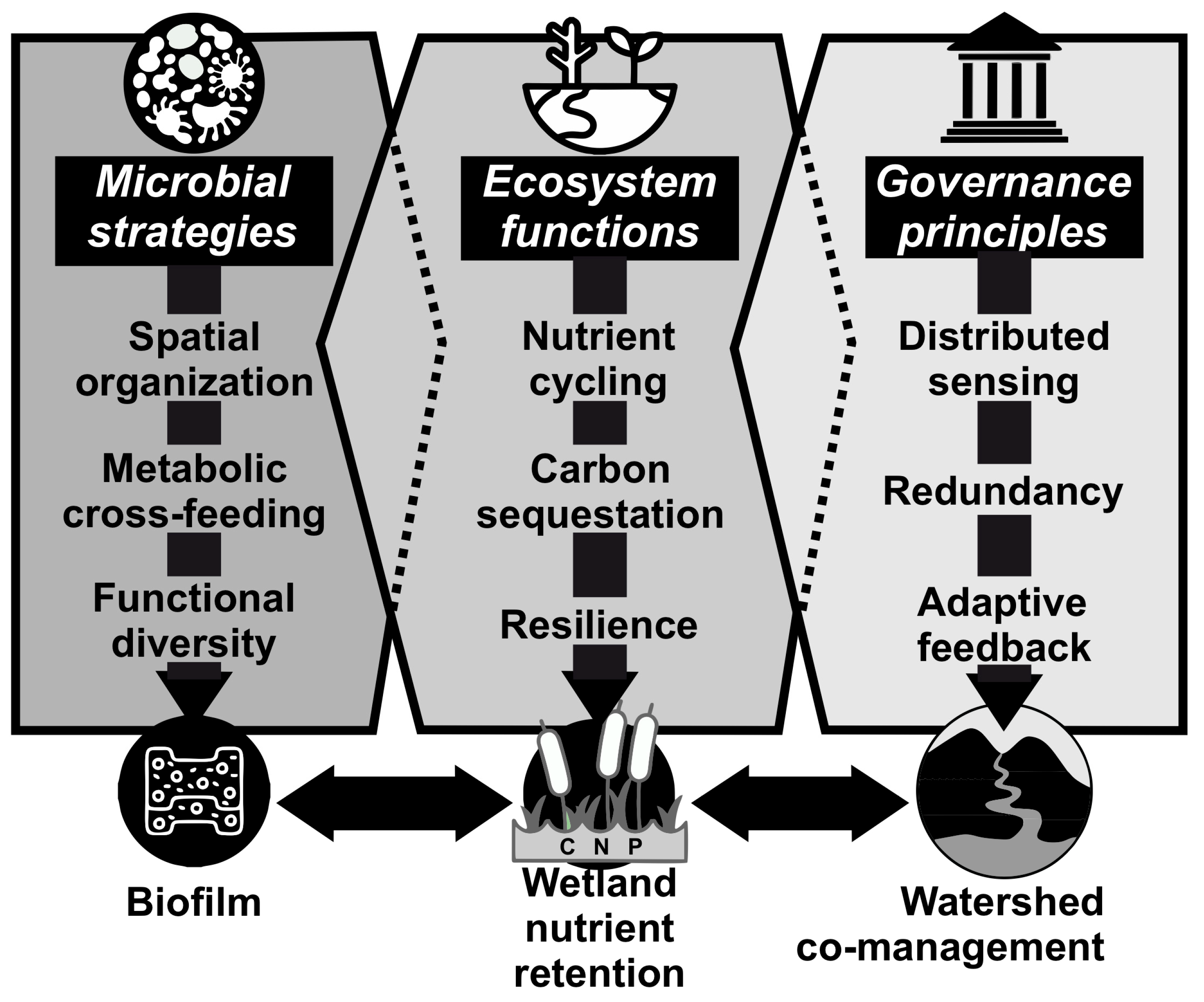Sustainability 17 08035 g002