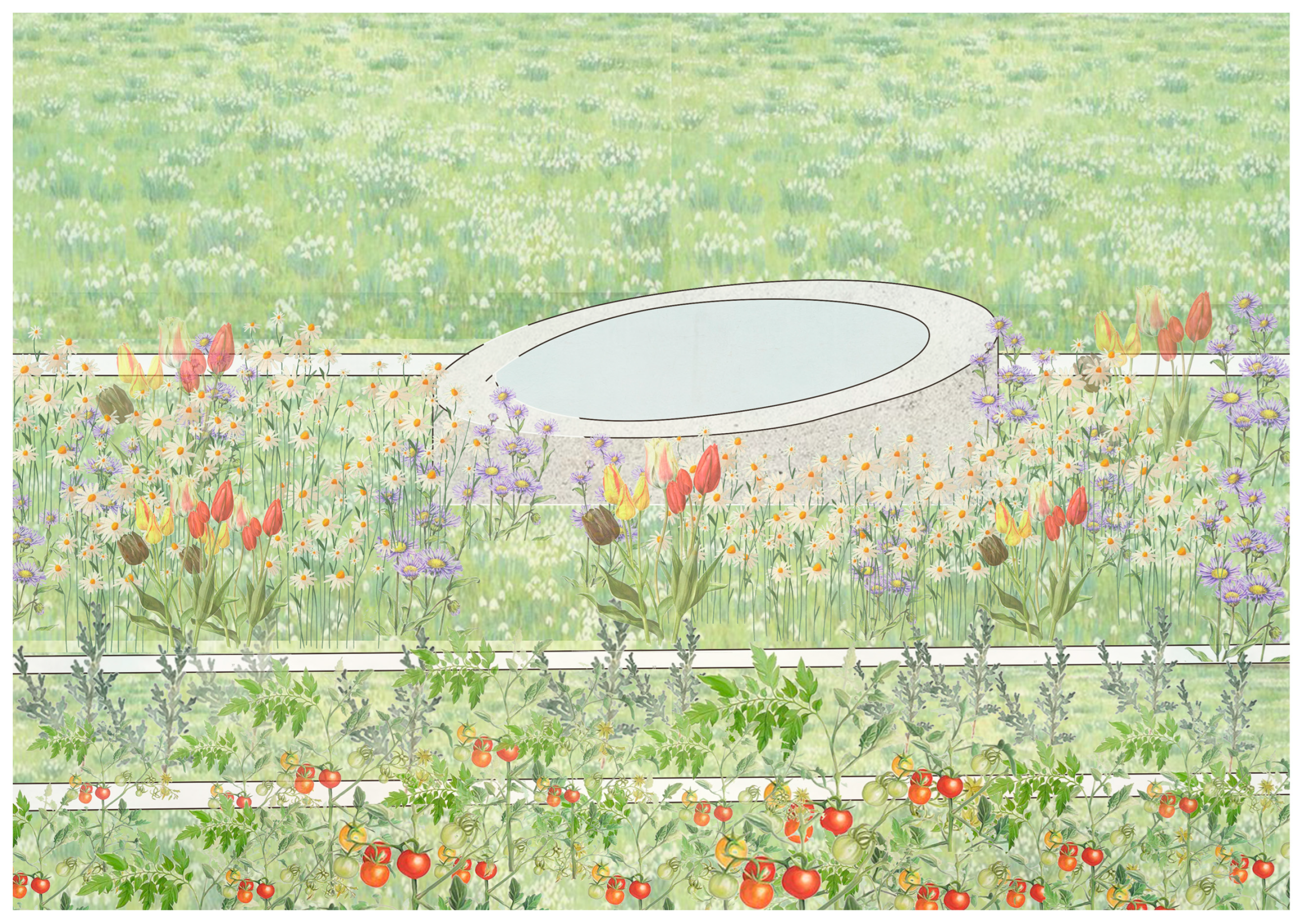 Sustainability 17 08155 g010