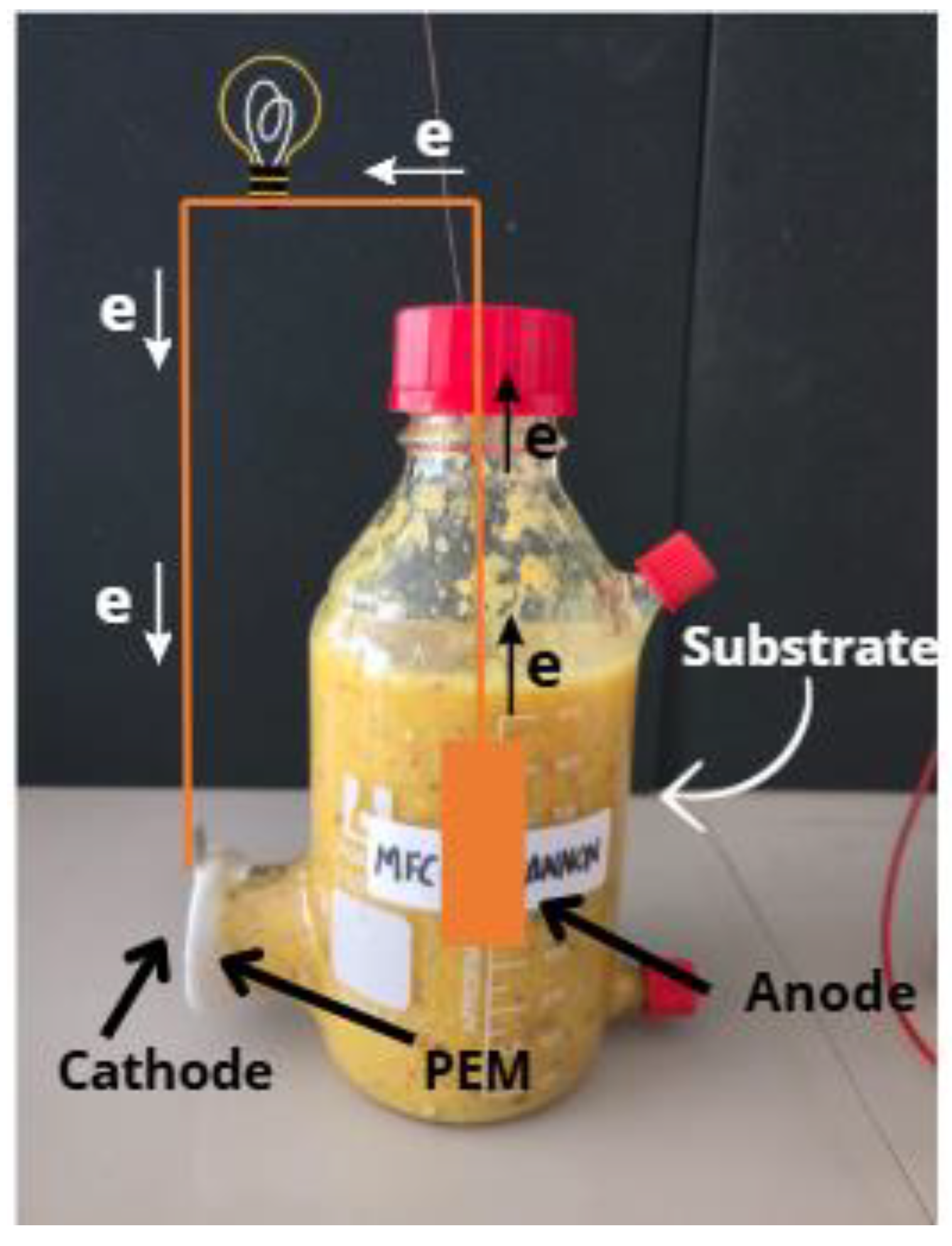 Sustainability 17 08245 g001