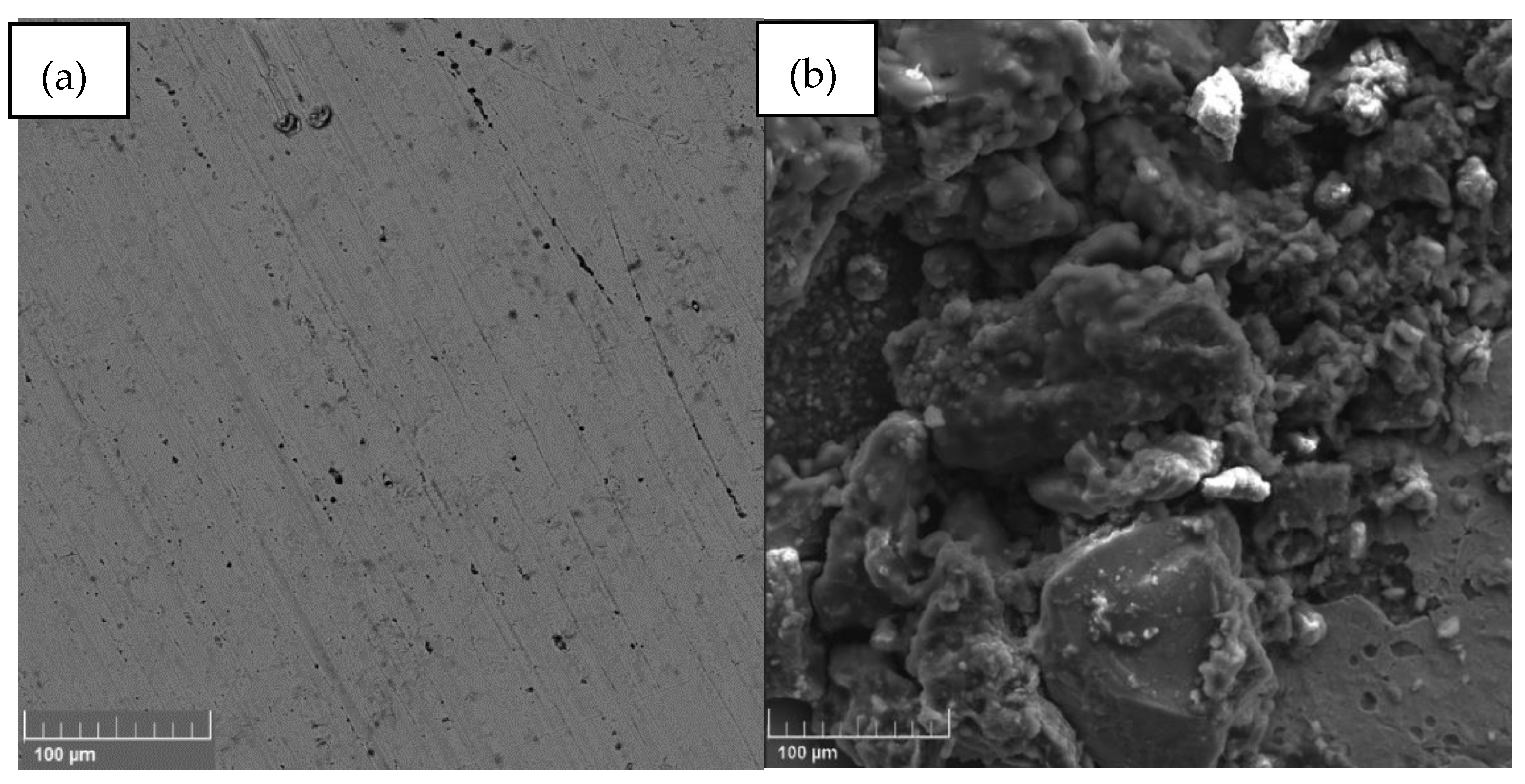 Sustainability 17 08245 g006