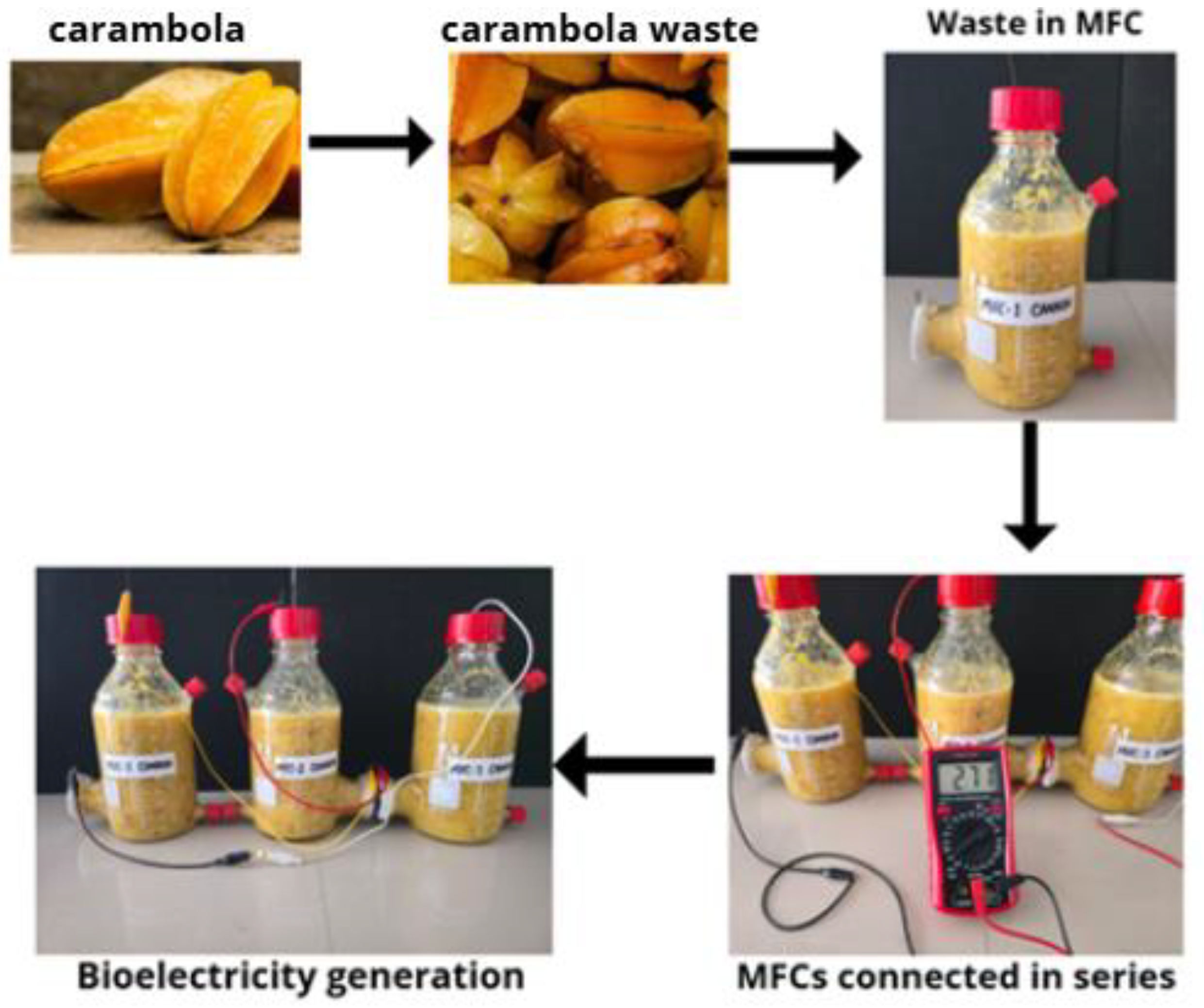Sustainability 17 08245 g008
