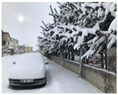 Sustainability 17 08295 i013