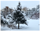 Sustainability 17 08295 i023