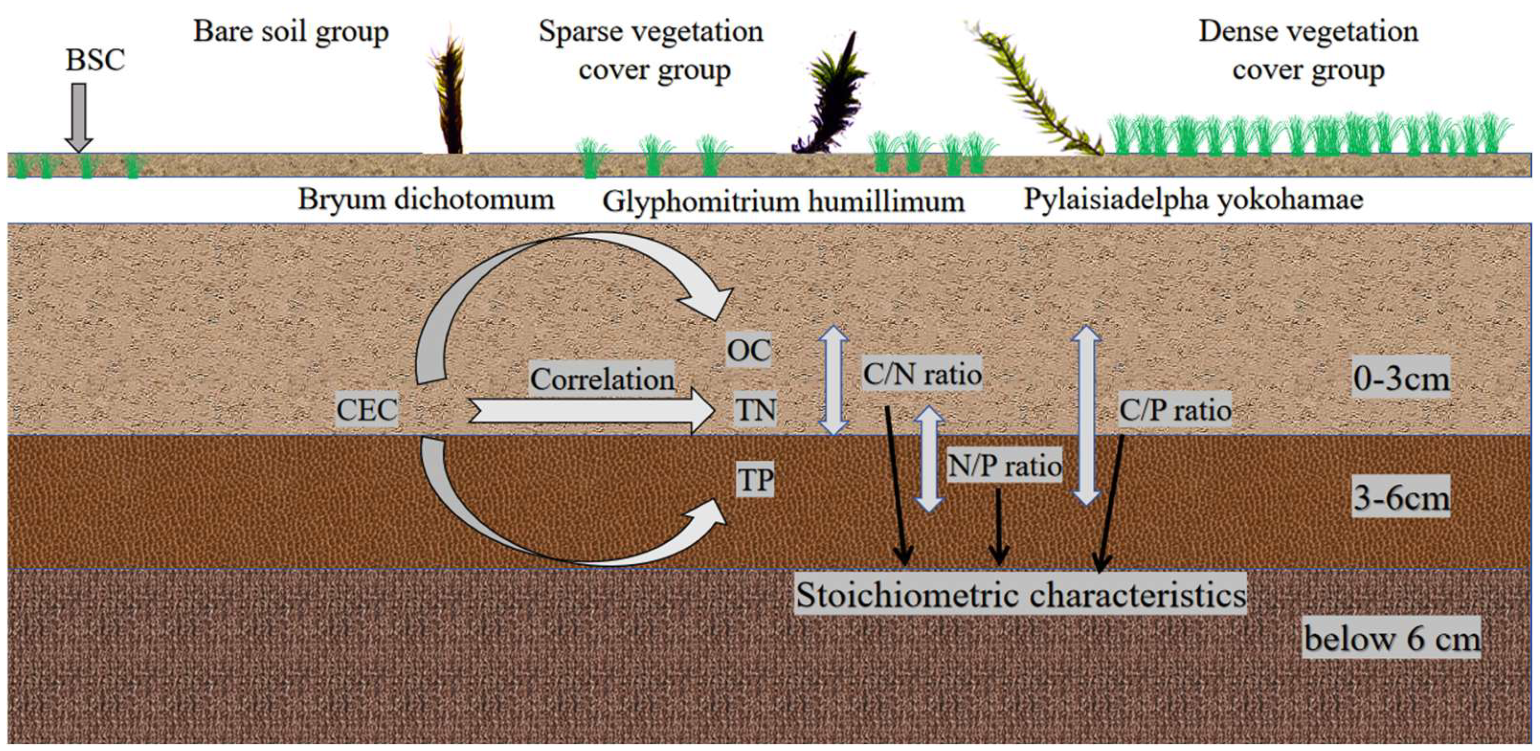 Sustainability 17 08348 g002