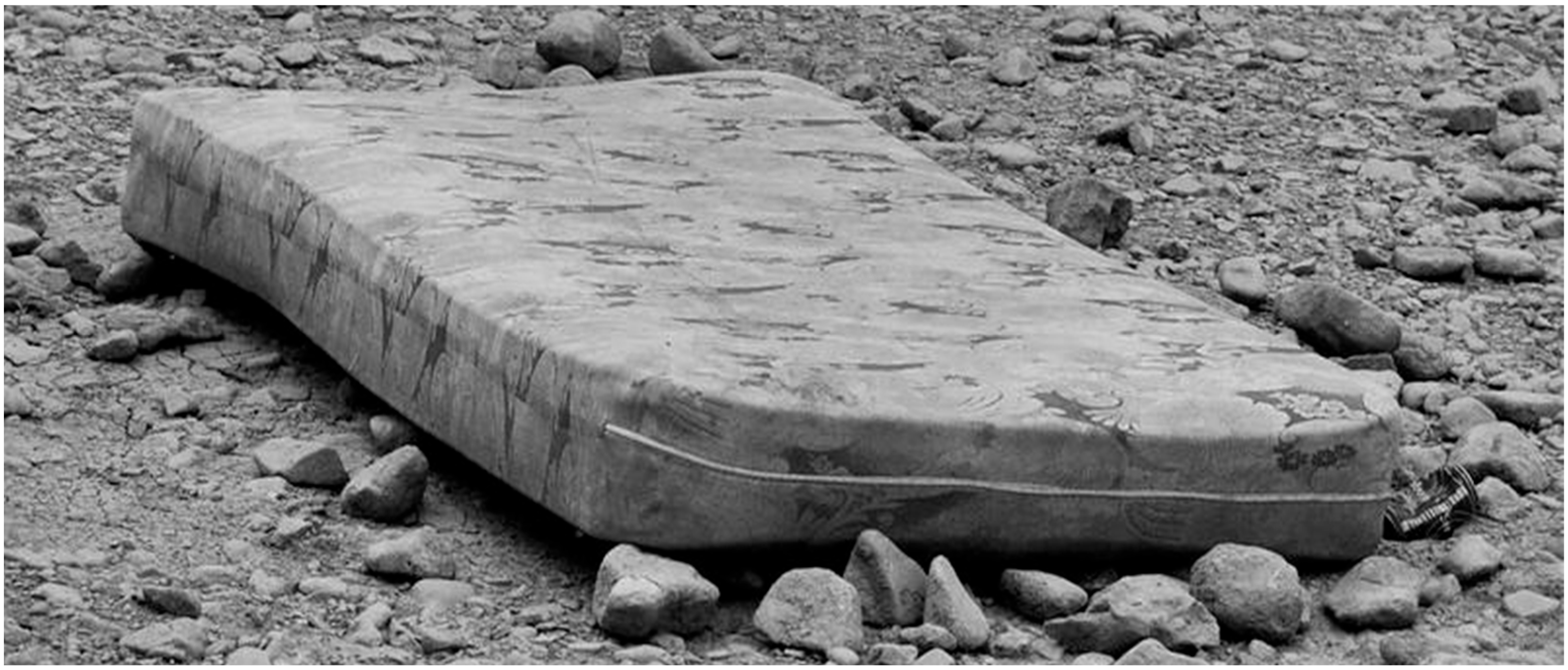 Sustainability 17 08371 g001