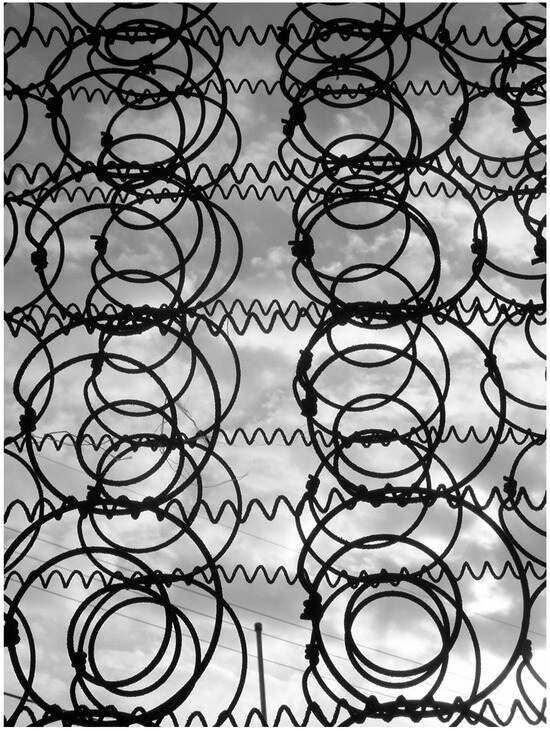 Sustainability 17 08371 g004