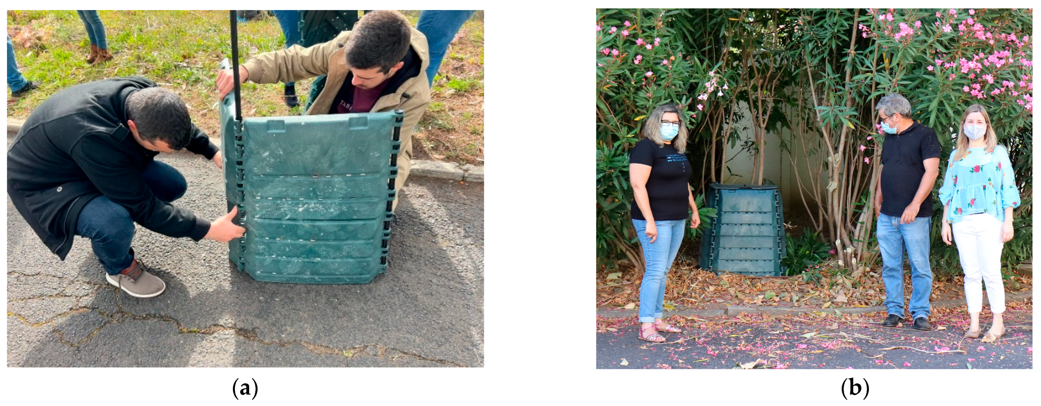 Sustainability 17 08446 g003