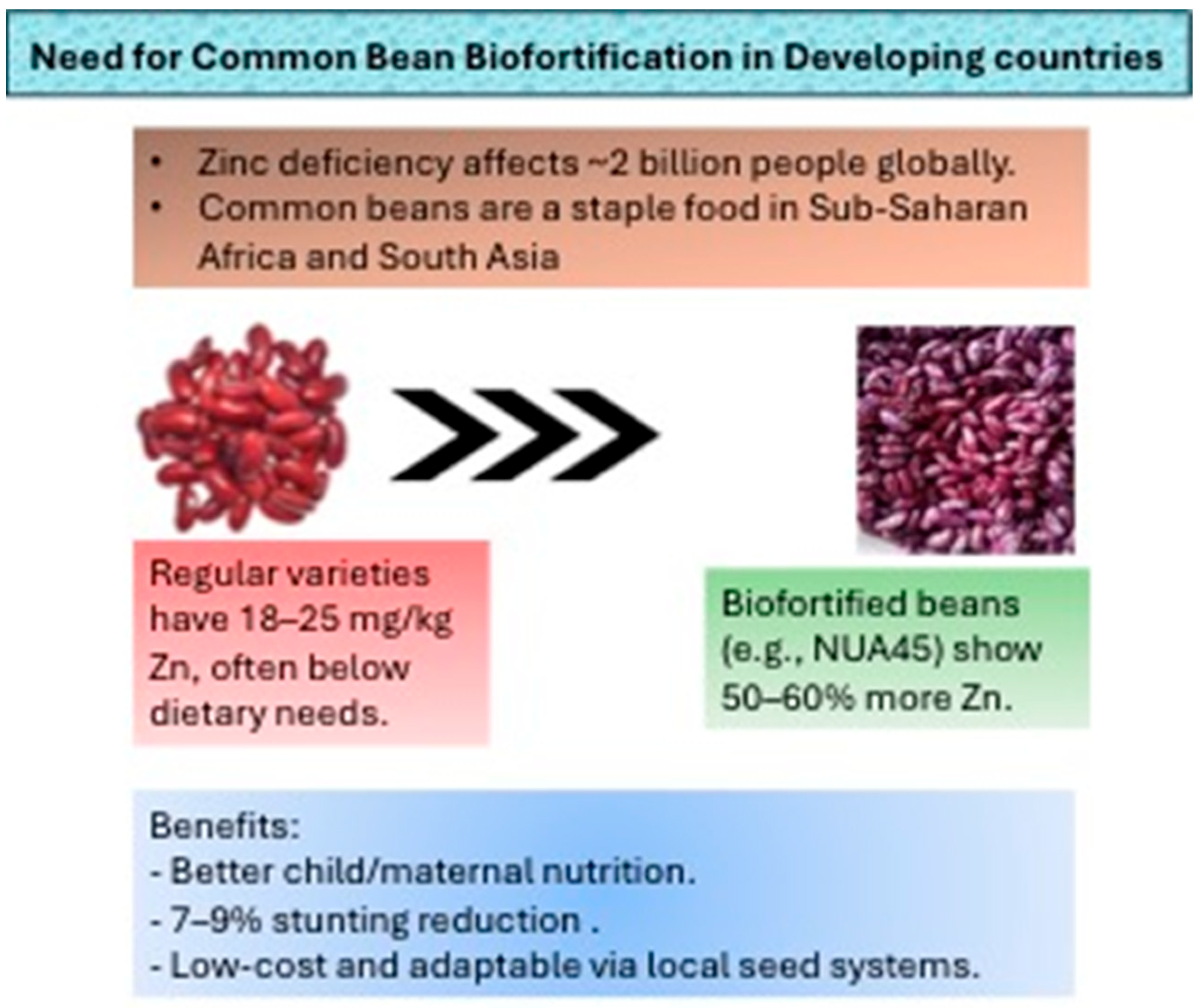 Sustainability 17 08510 g001