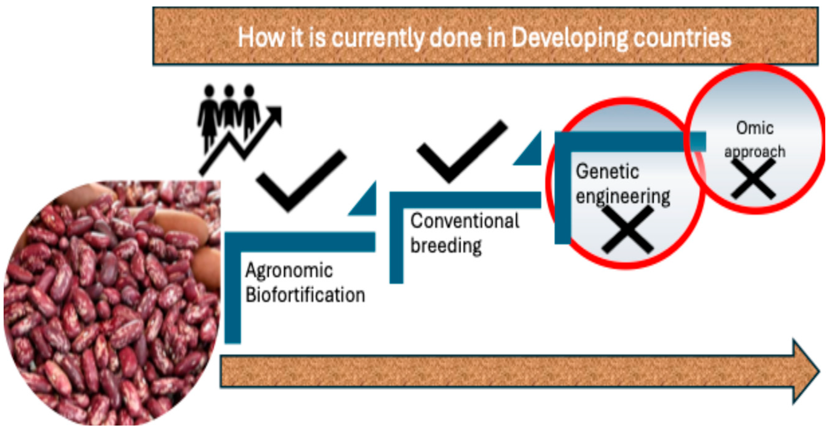 Sustainability 17 08510 g002