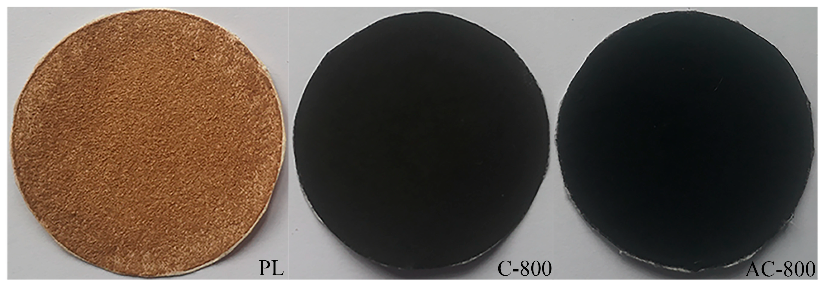 Sustainability 17 08513 g001