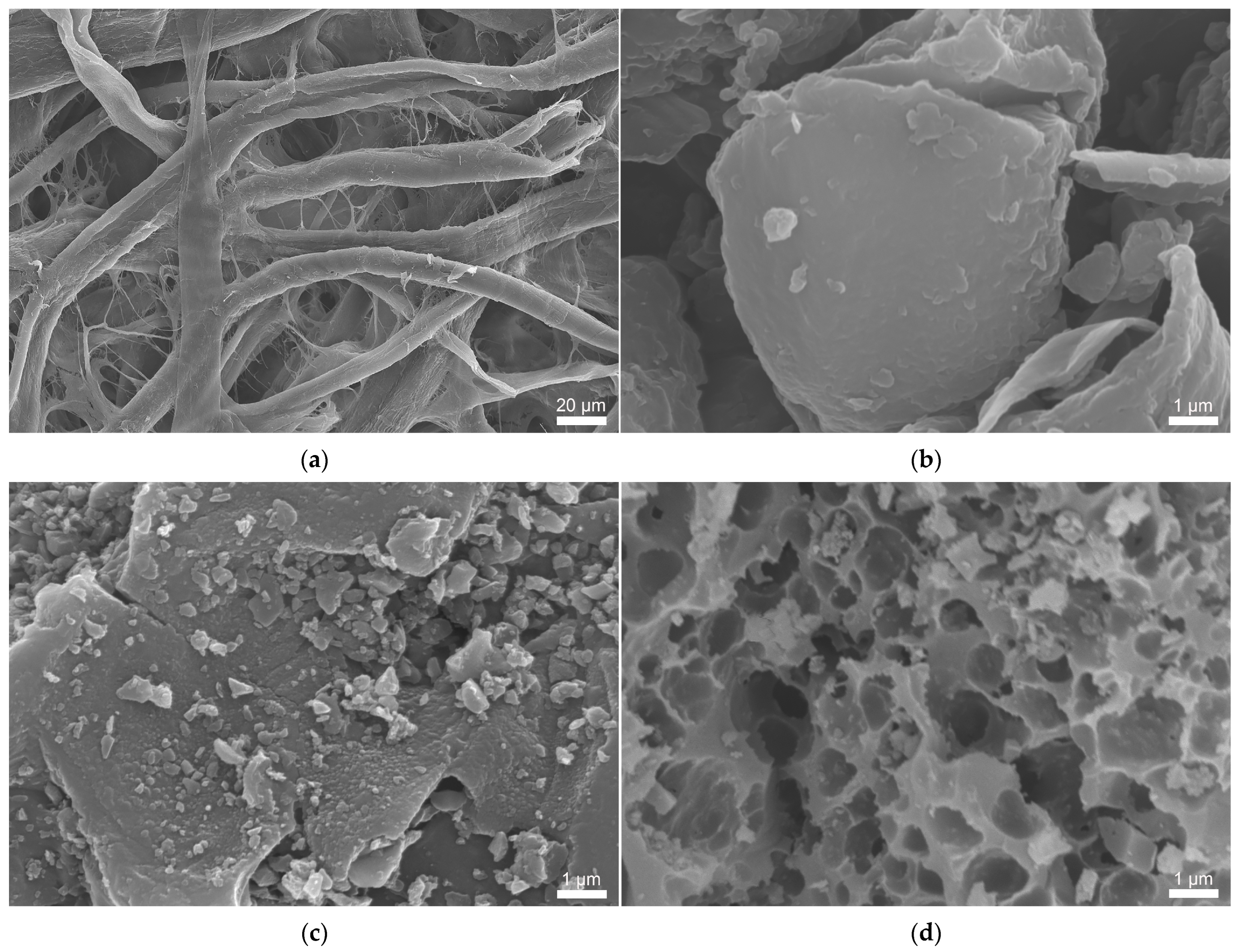 Sustainability 17 08513 g005