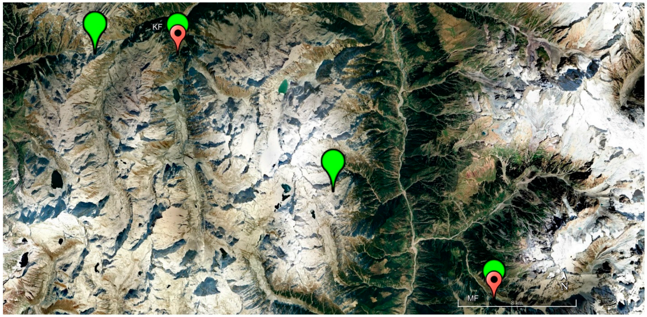 Sustainability 17 08541 g005