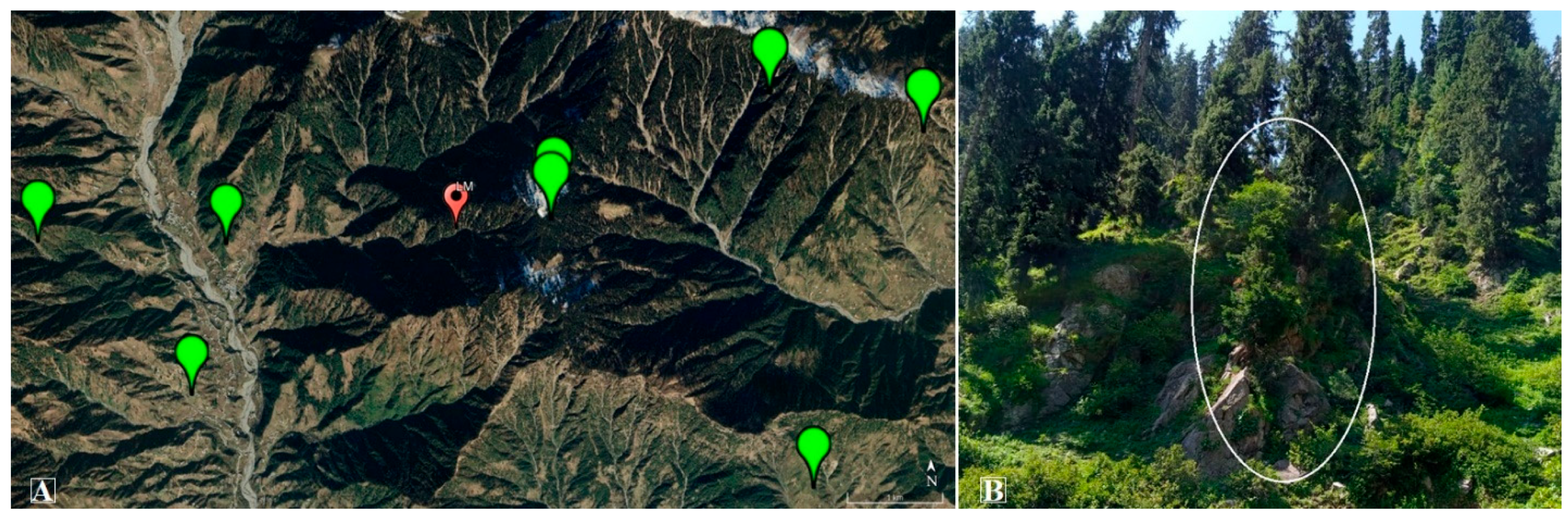 Sustainability 17 08541 g006