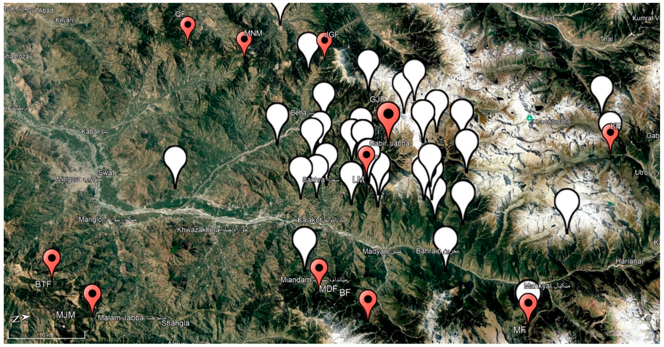 Sustainability 17 08541 g007