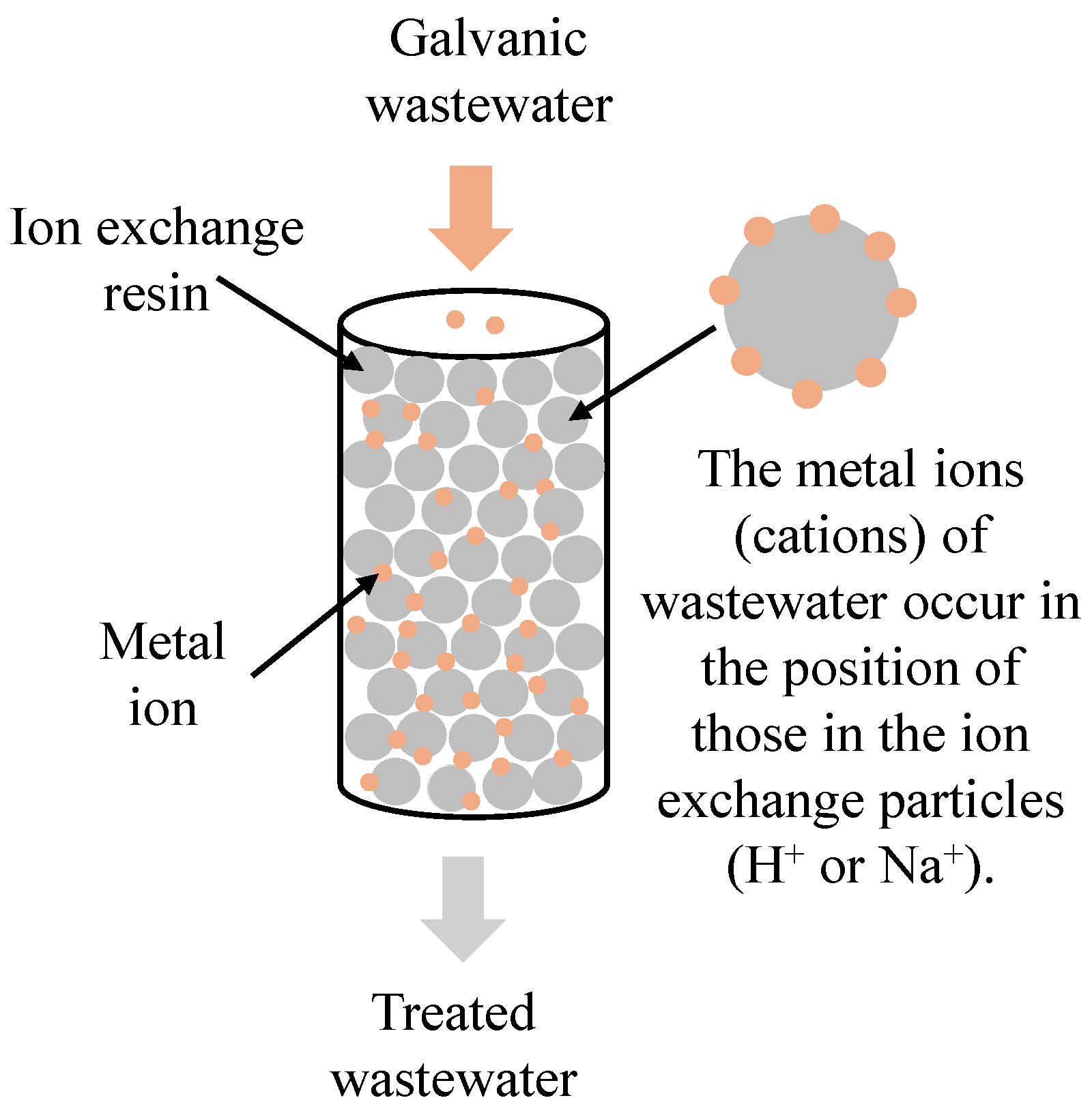 Sustainability 17 08562 g005