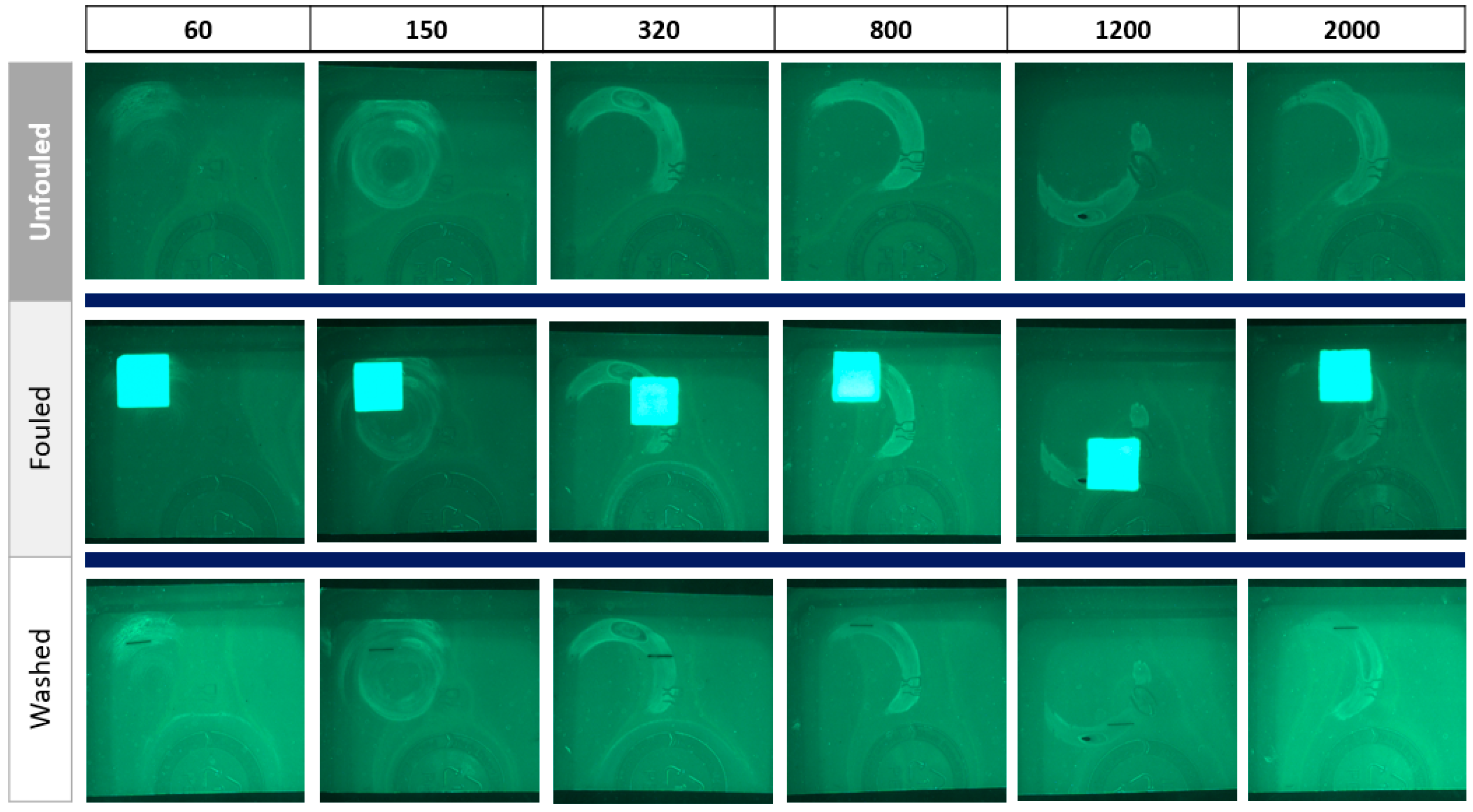 Sustainability 17 08695 g006