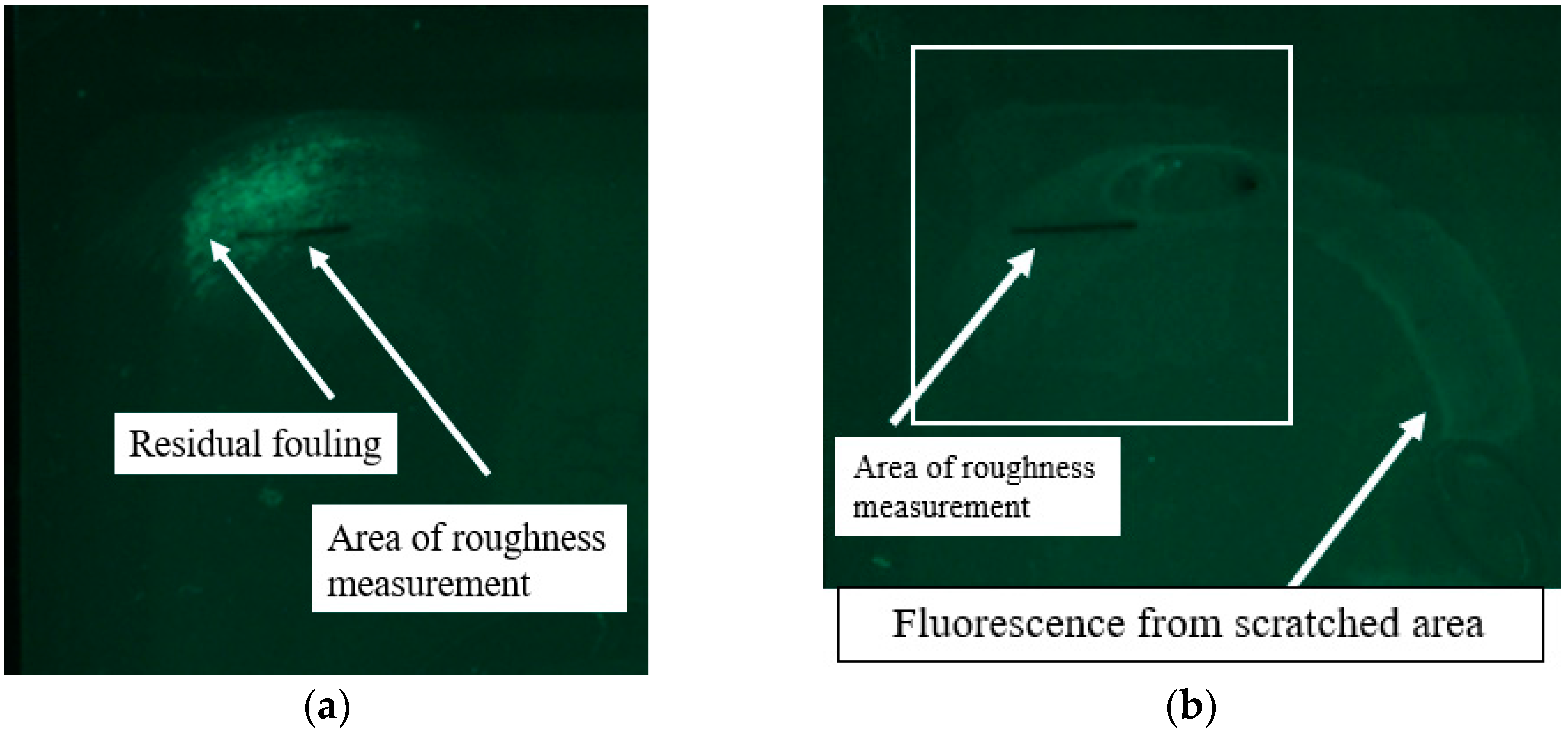 Sustainability 17 08695 g008