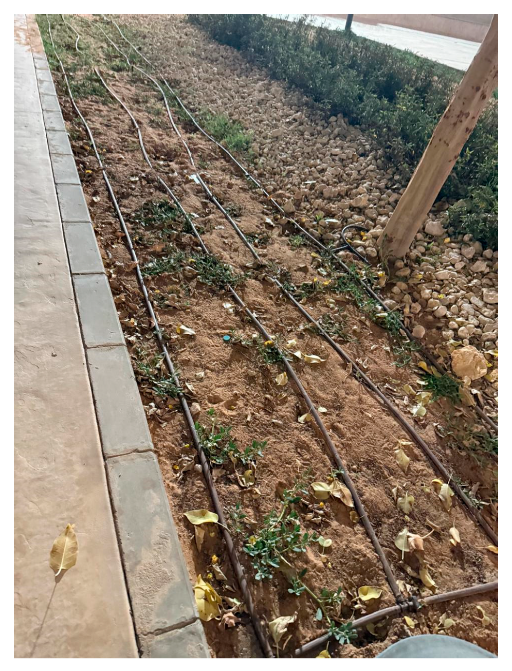 Sustainability 17 08701 g007