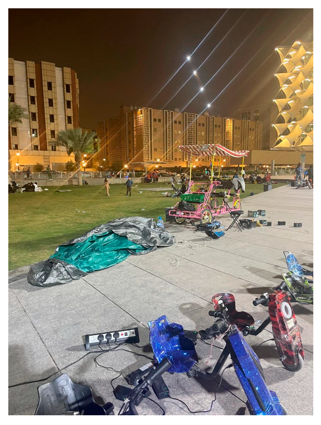 Sustainability 17 08701 g011