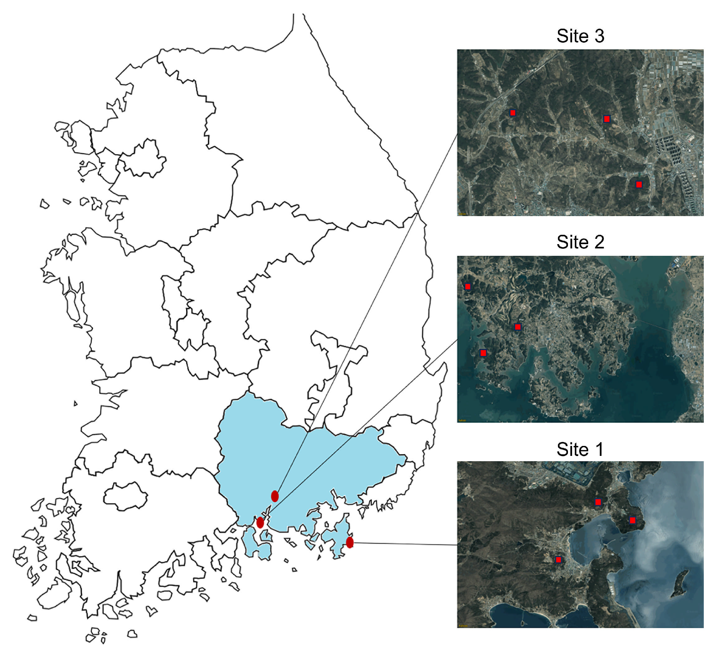 Sustainability 17 08796 g001