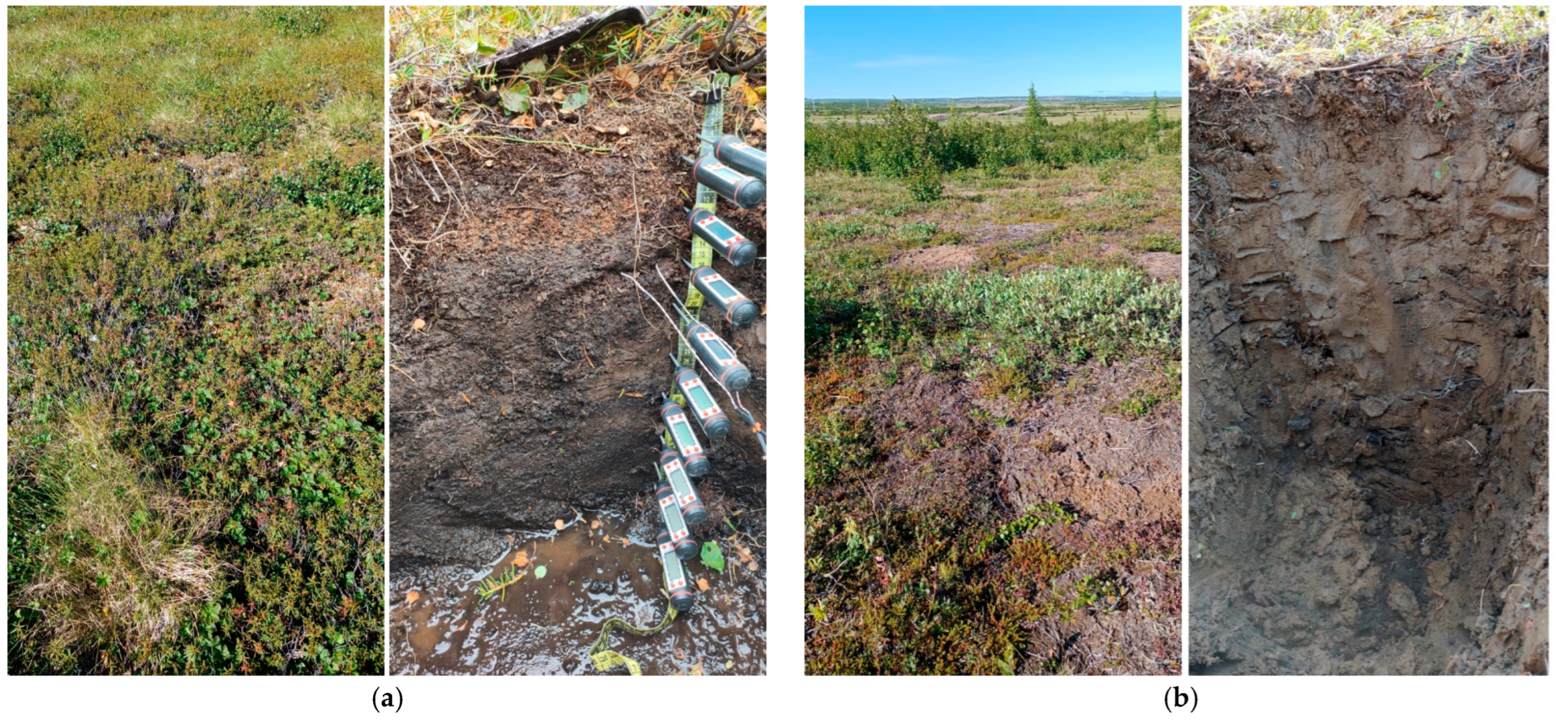 Sustainability 17 08892 g003