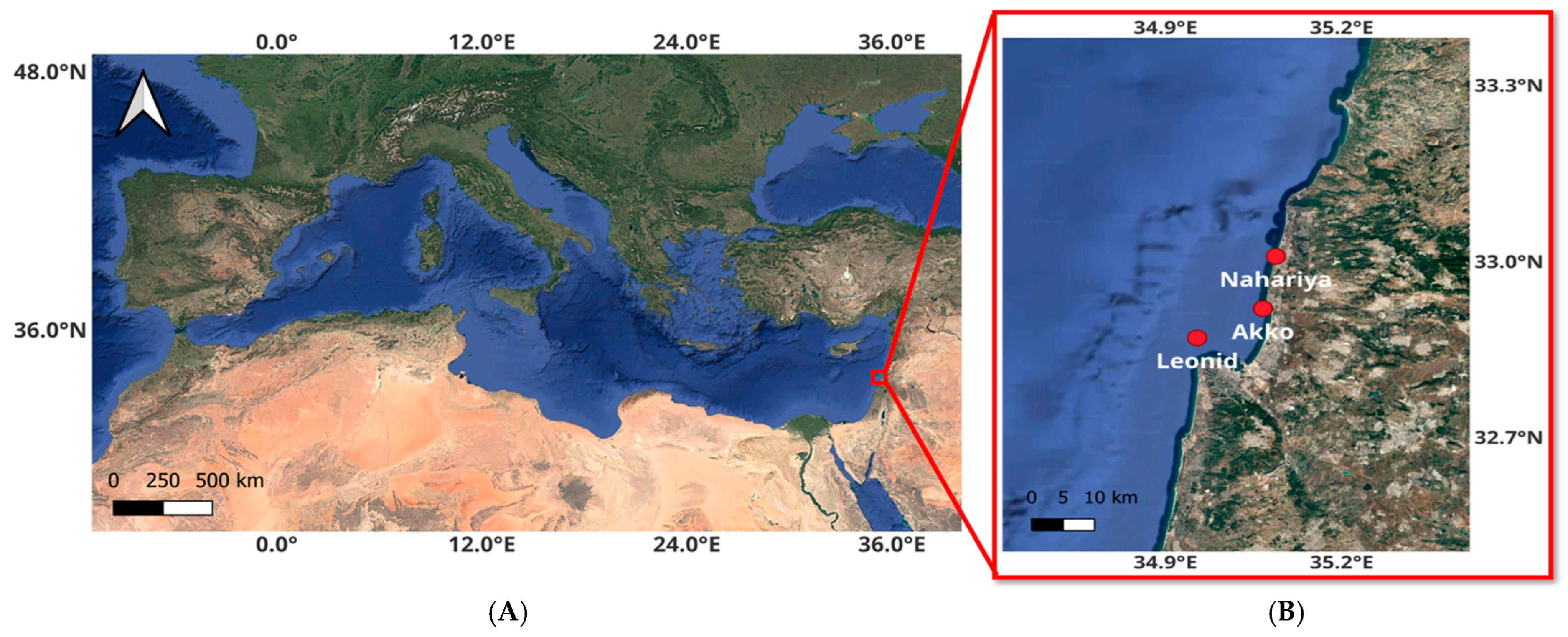 Sustainability 17 08893 g001