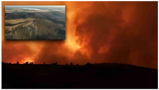 Sustainability 17 08960 g001