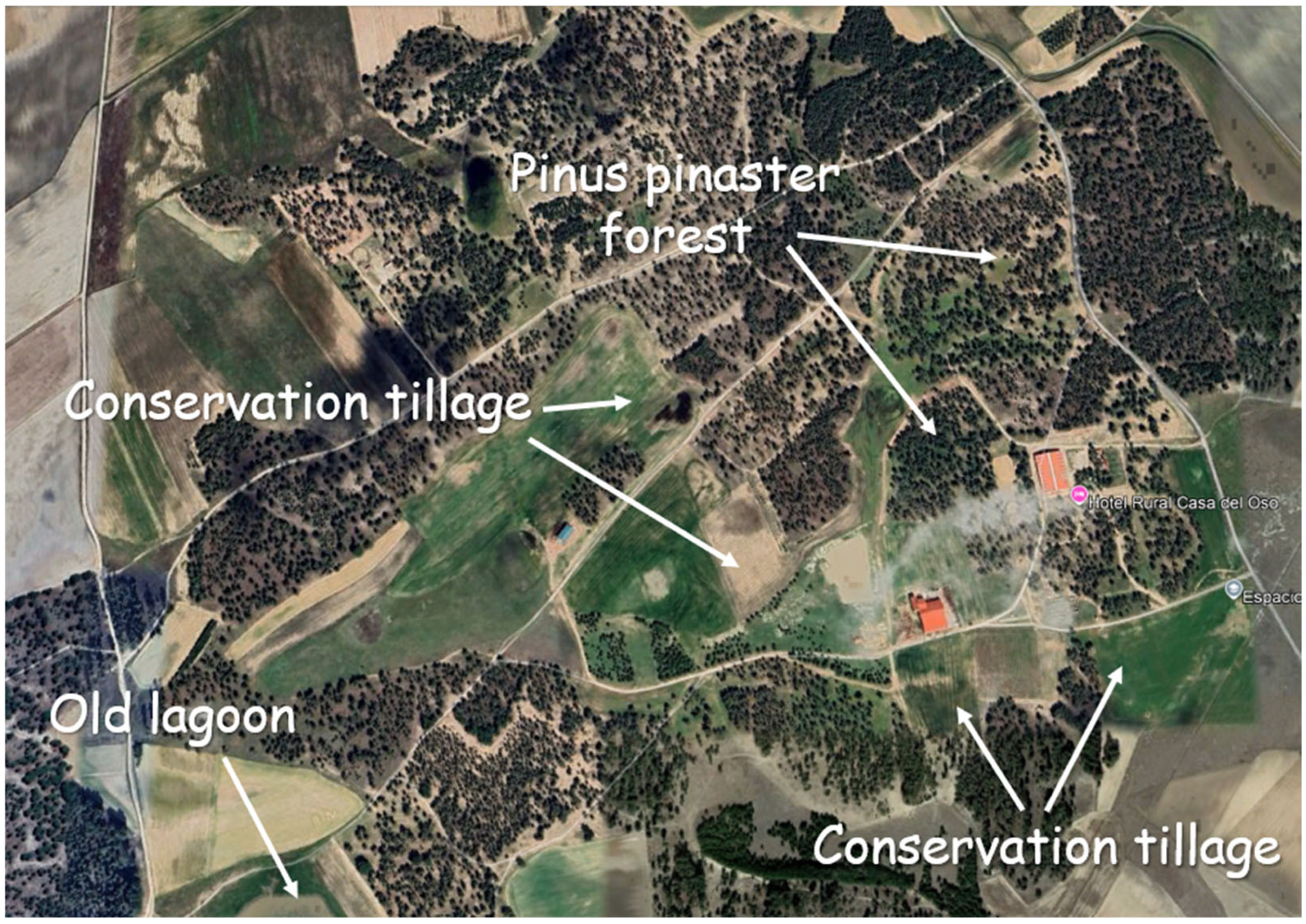 Sustainability 17 09066 g001