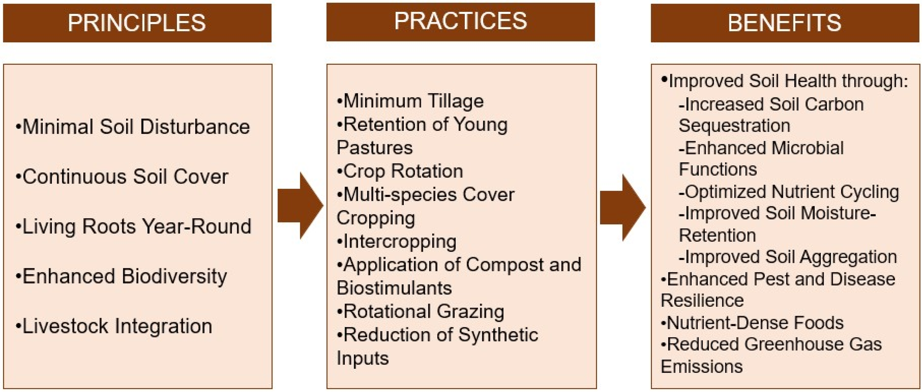 Sustainability 17 09066 g002