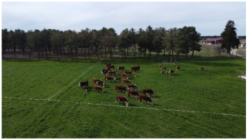 Sustainability 17 09066 i001