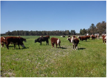 Sustainability 17 09066 i002