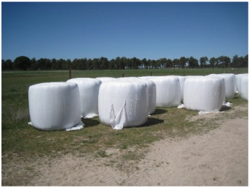 Sustainability 17 09066 i004