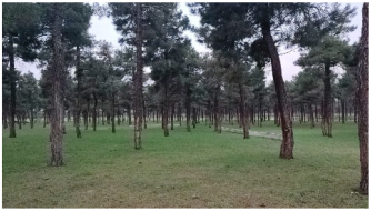 Sustainability 17 09066 i010