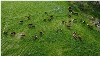 Sustainability 17 09066 i011