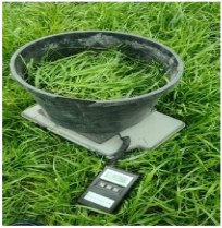 Sustainability 17 09066 i013