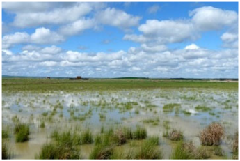 Sustainability 17 09066 i014