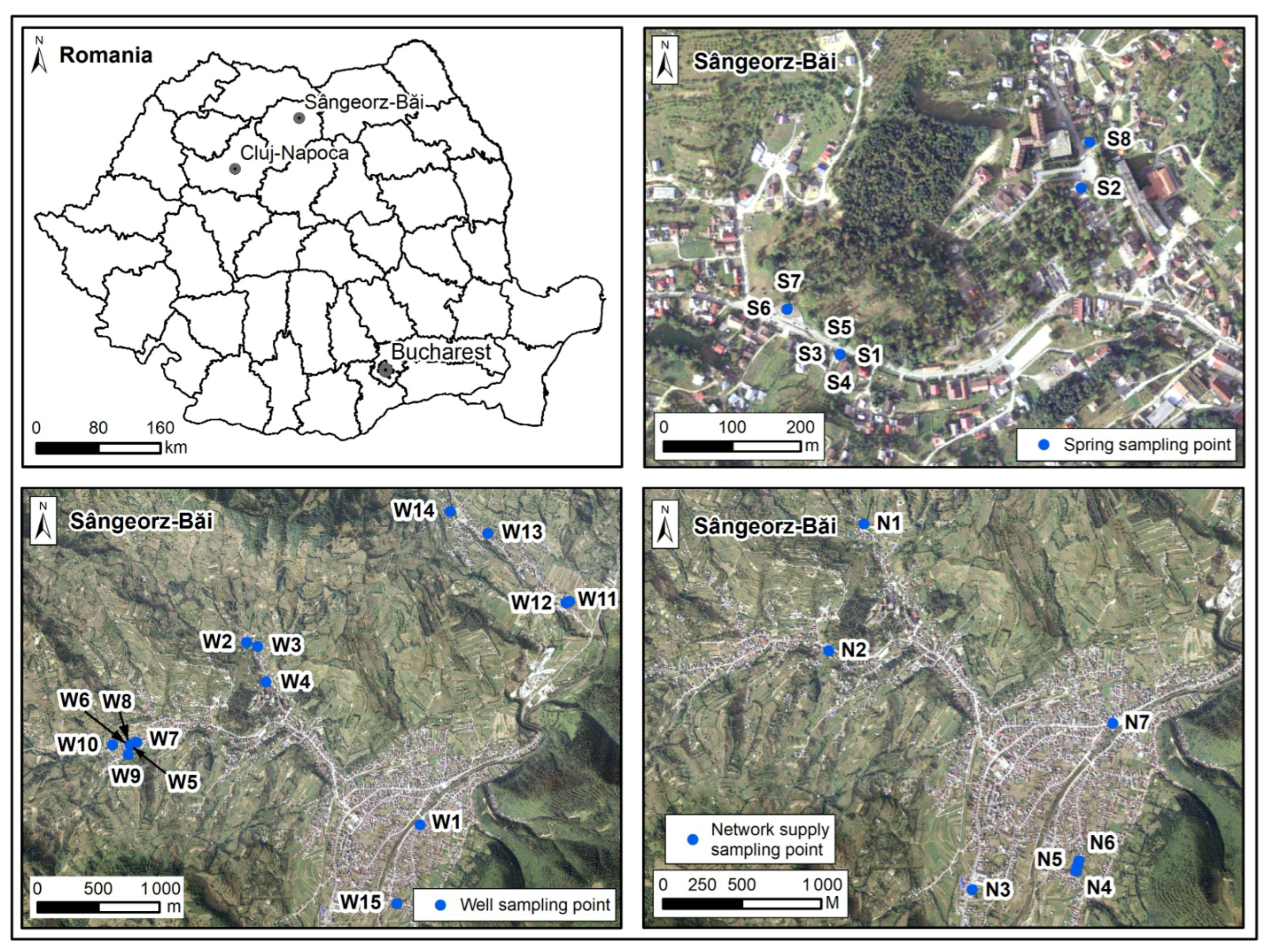 Sustainability 17 09238 g001