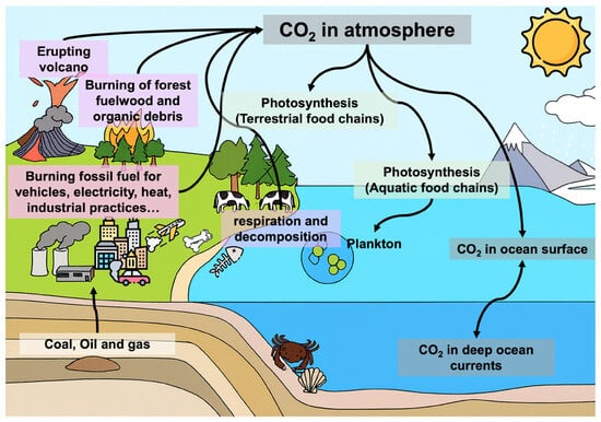 Sustainability 17 09250 g001 Sustainability 17 09250 g001