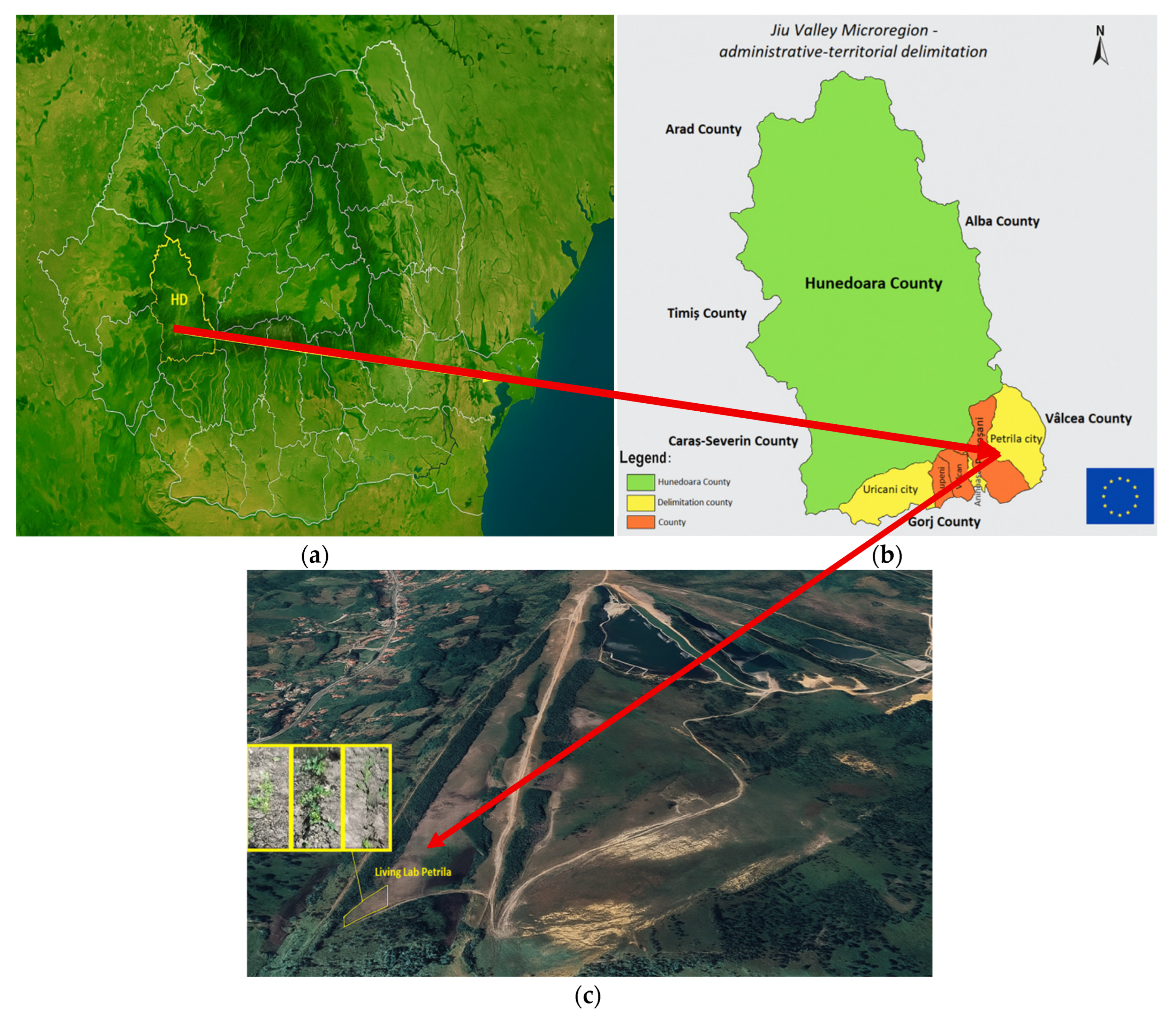 Sustainability 17 09380 g001 Sustainability 17 09380 g001