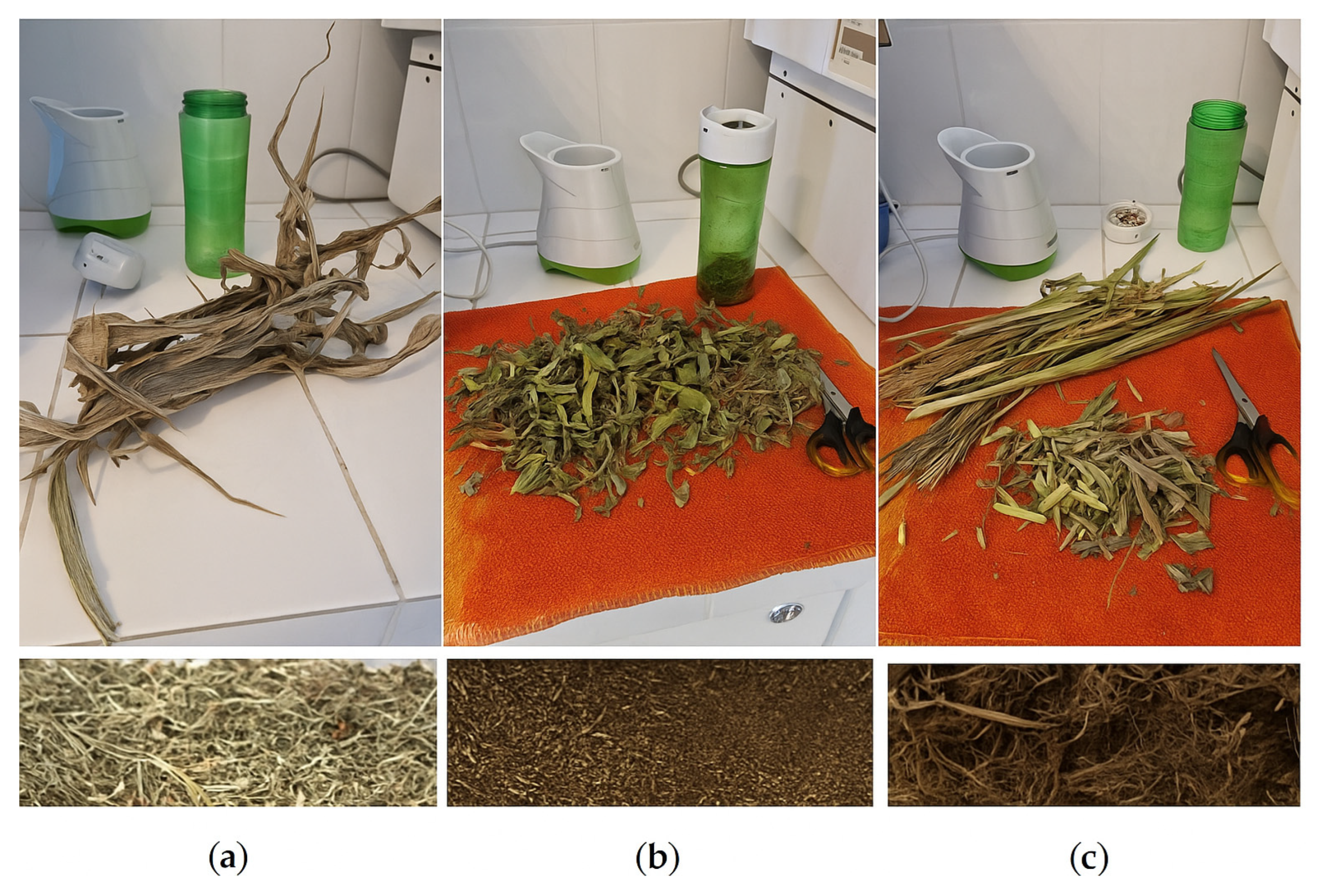 Sustainability 17 09380 g002 Sustainability 17 09380 g002