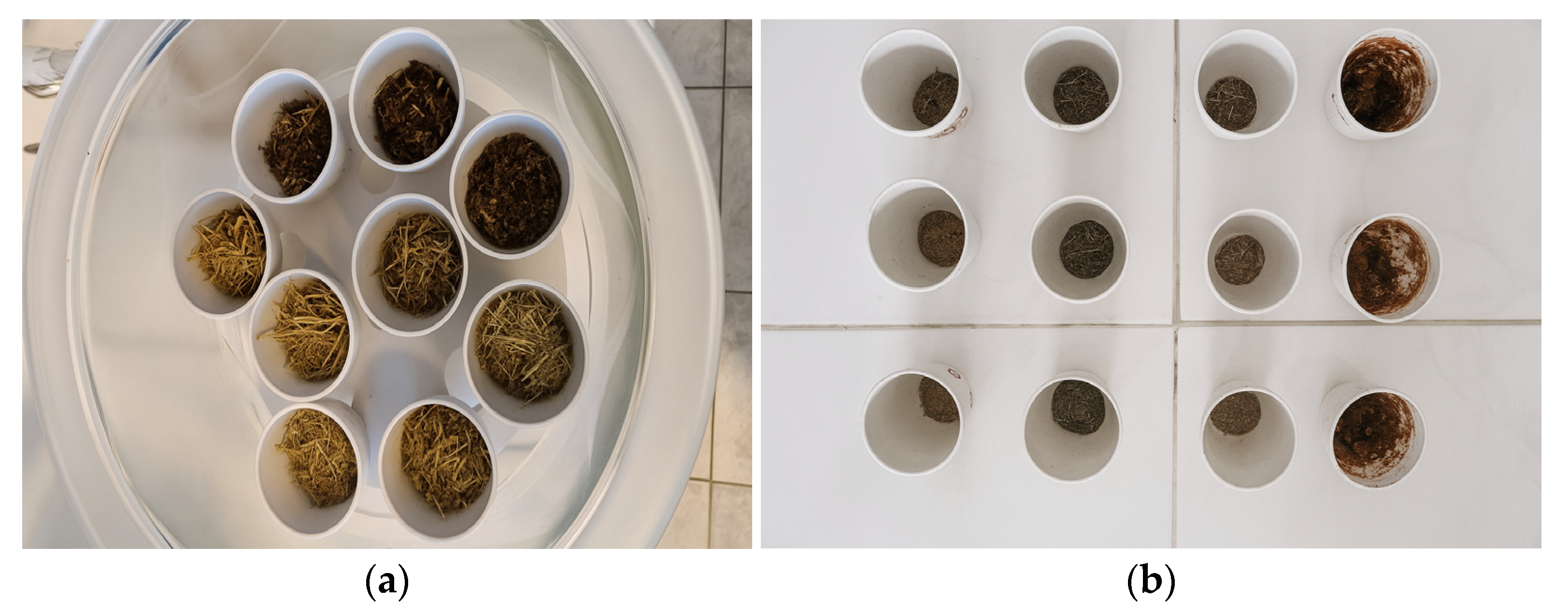 Sustainability 17 09380 g004 Sustainability 17 09380 g004