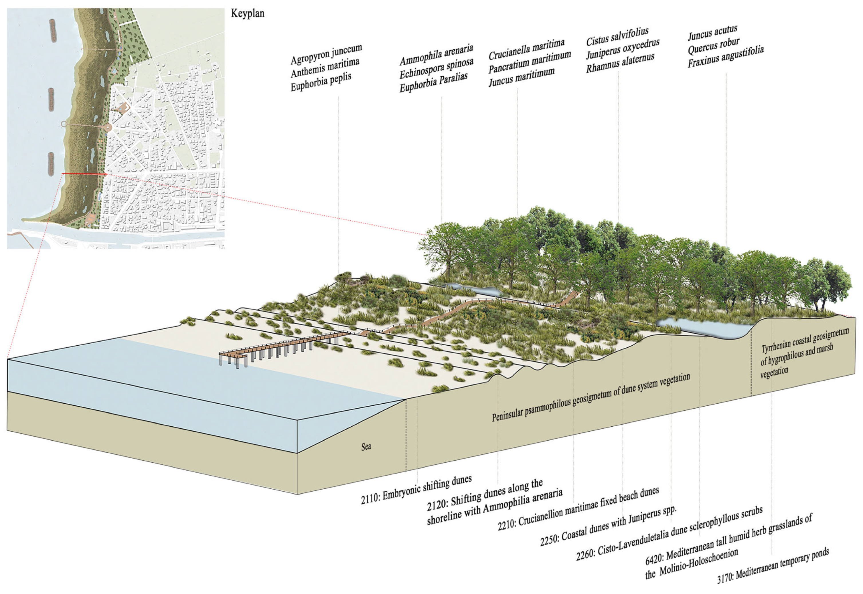 Sustainability 17 09388 g027