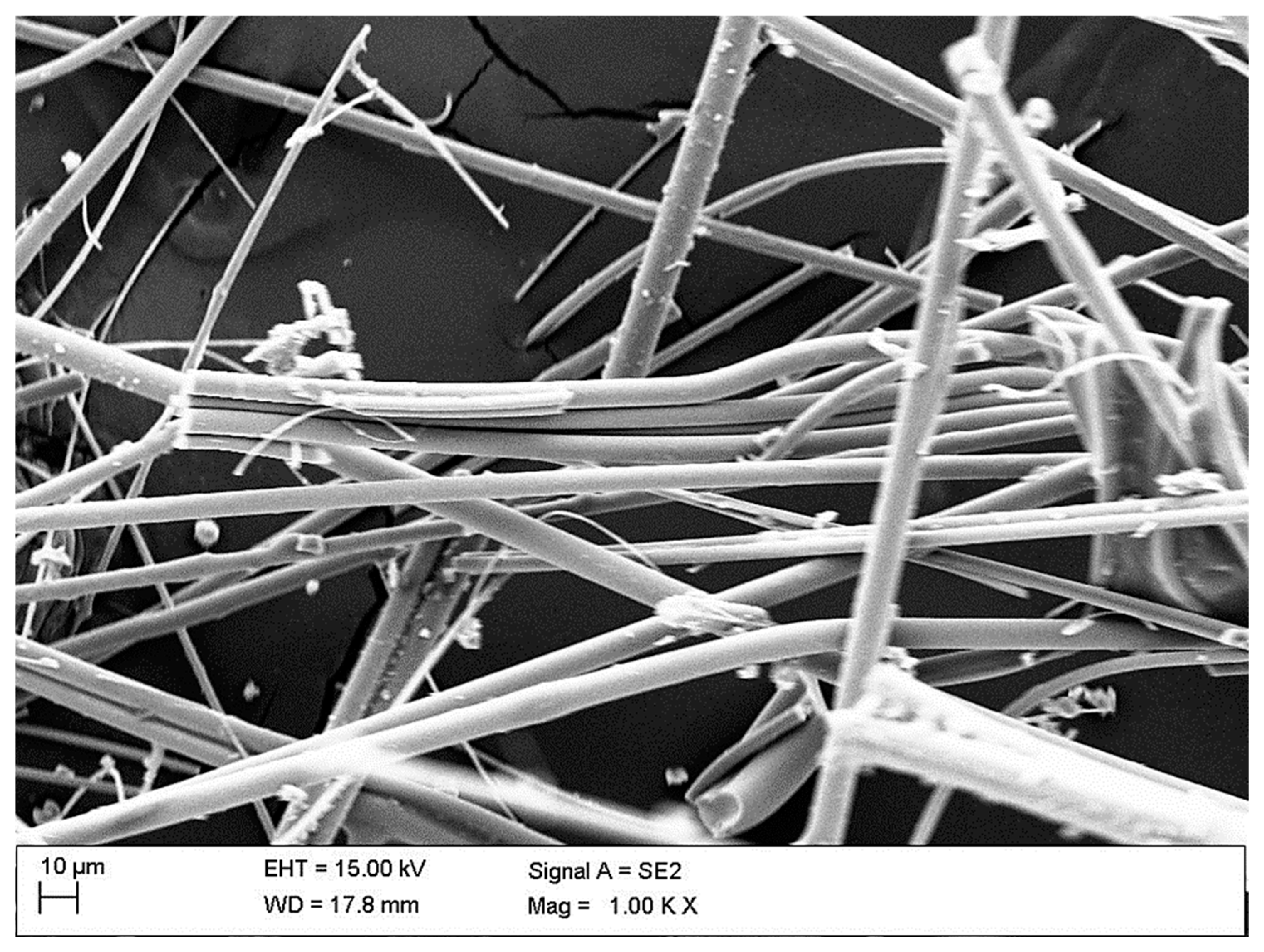 Sustainability 17 09442 g008