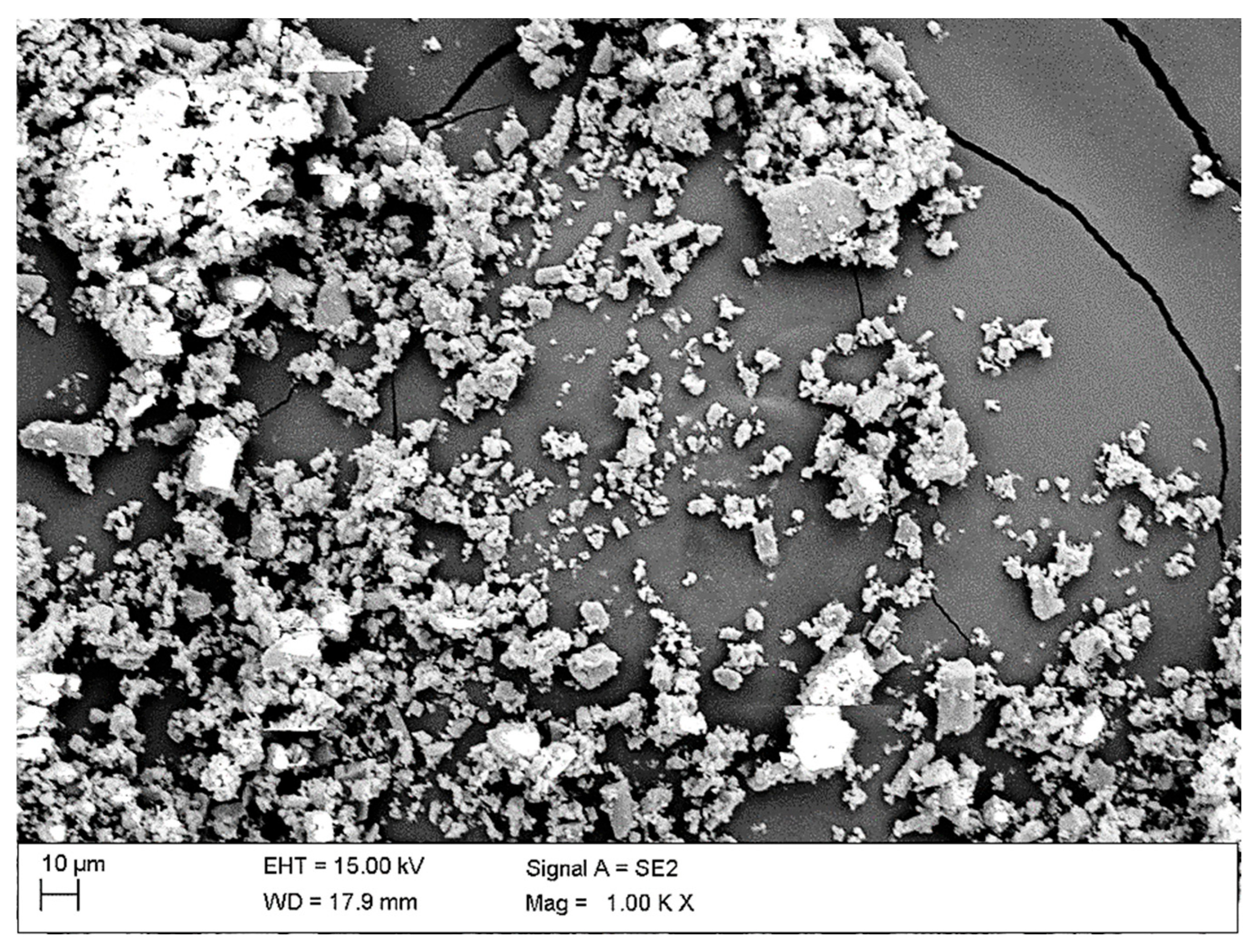 Sustainability 17 09442 g009
