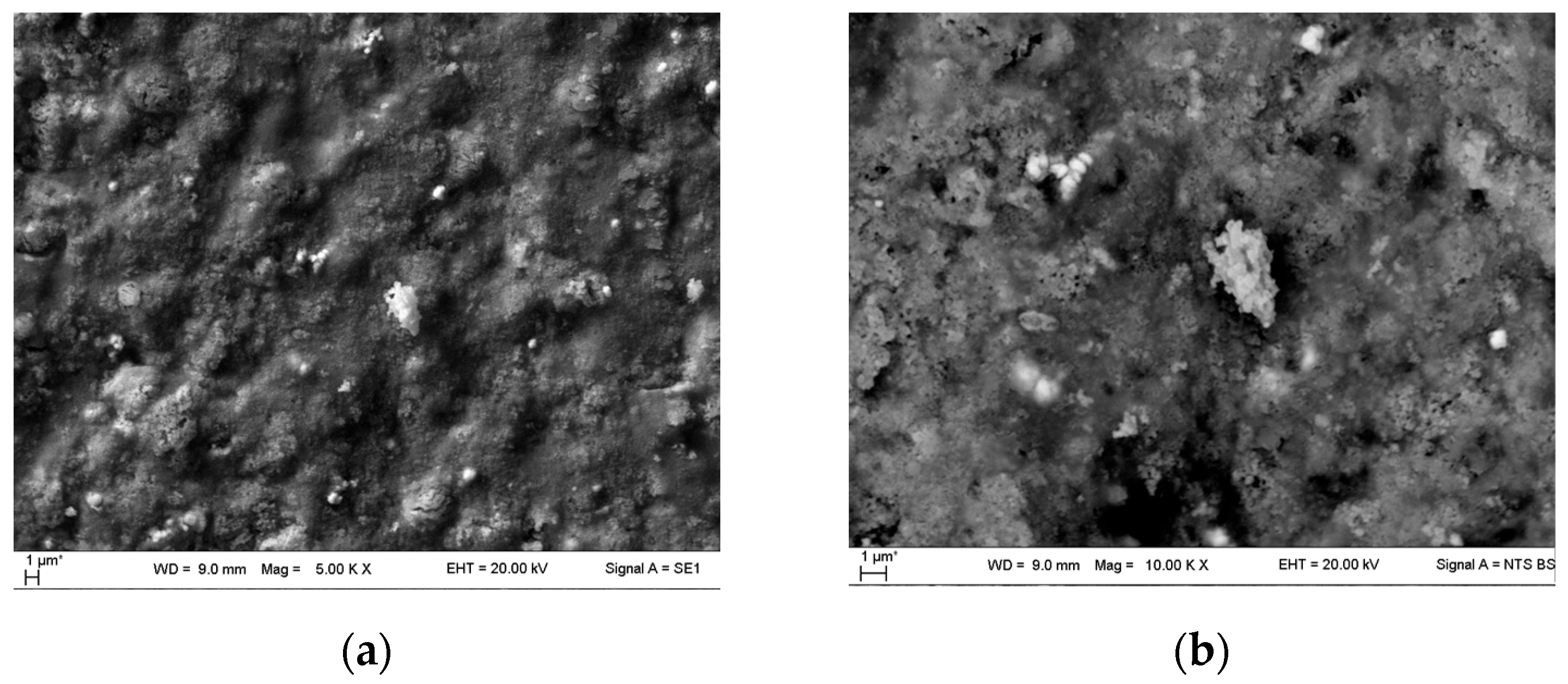 Sustainability 17 09451 g012