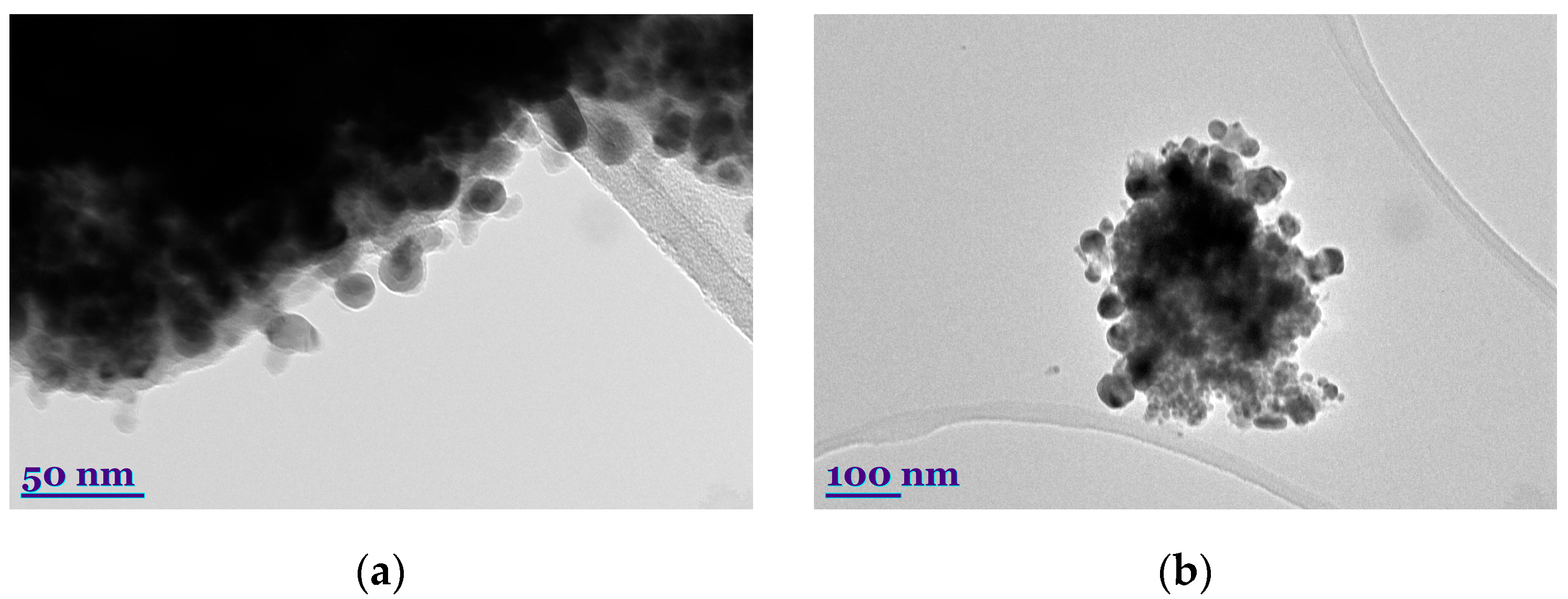 Sustainability 17 09451 g013