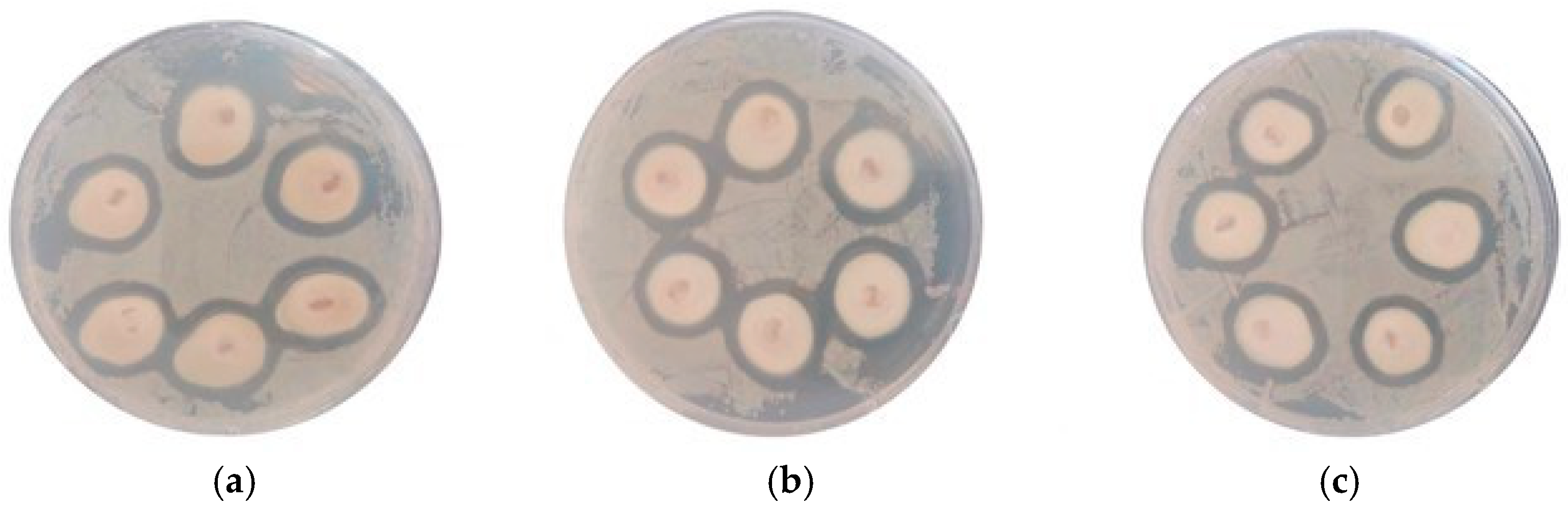 Sustainability 17 09451 g016