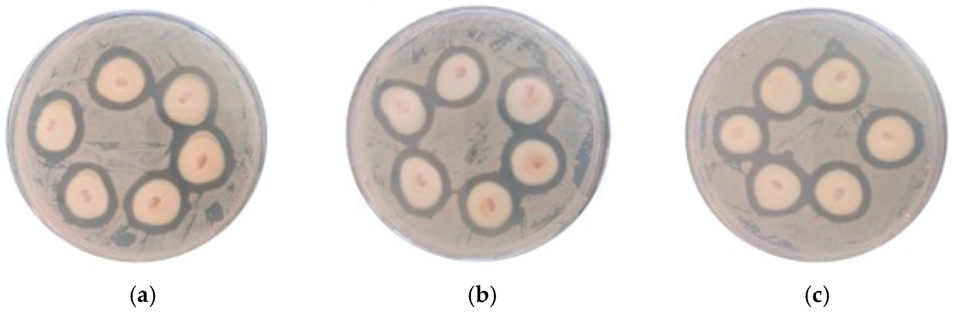 Sustainability 17 09451 g018