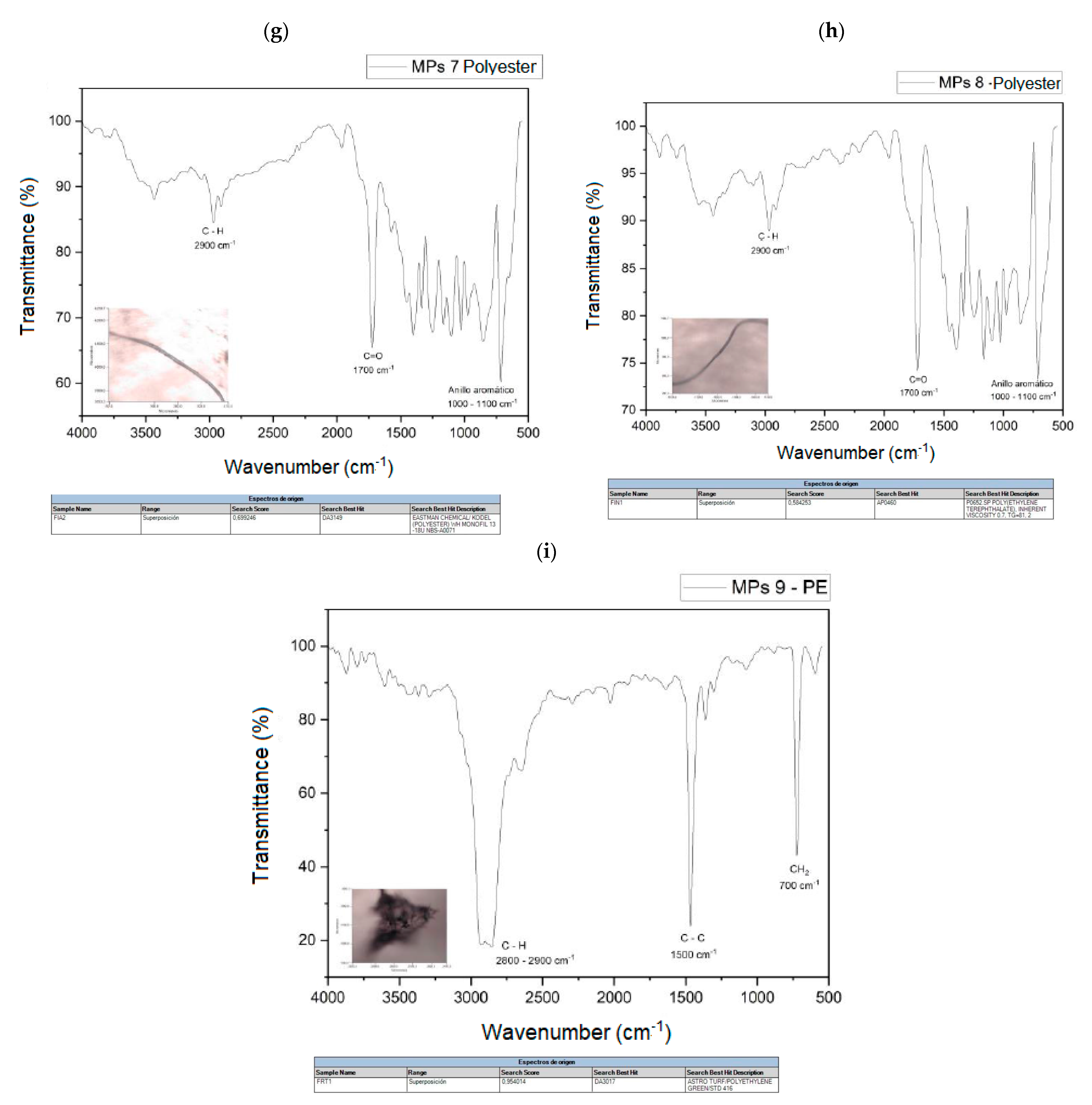 Sustainability 17 09470 g007b