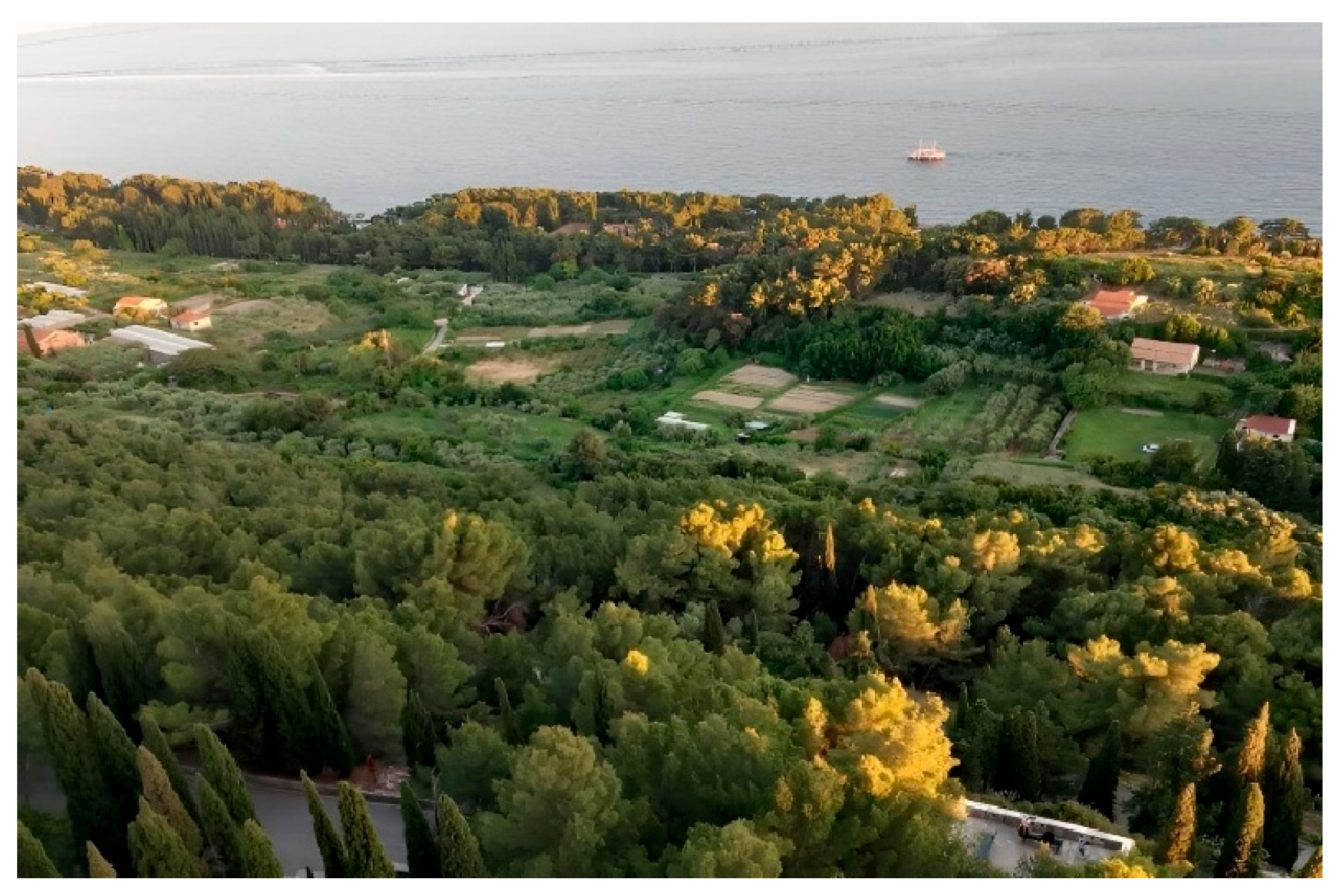 Sustainability 17 09473 g004